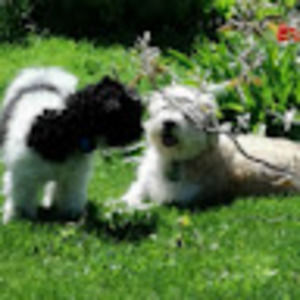 Meet your Posher, Michele